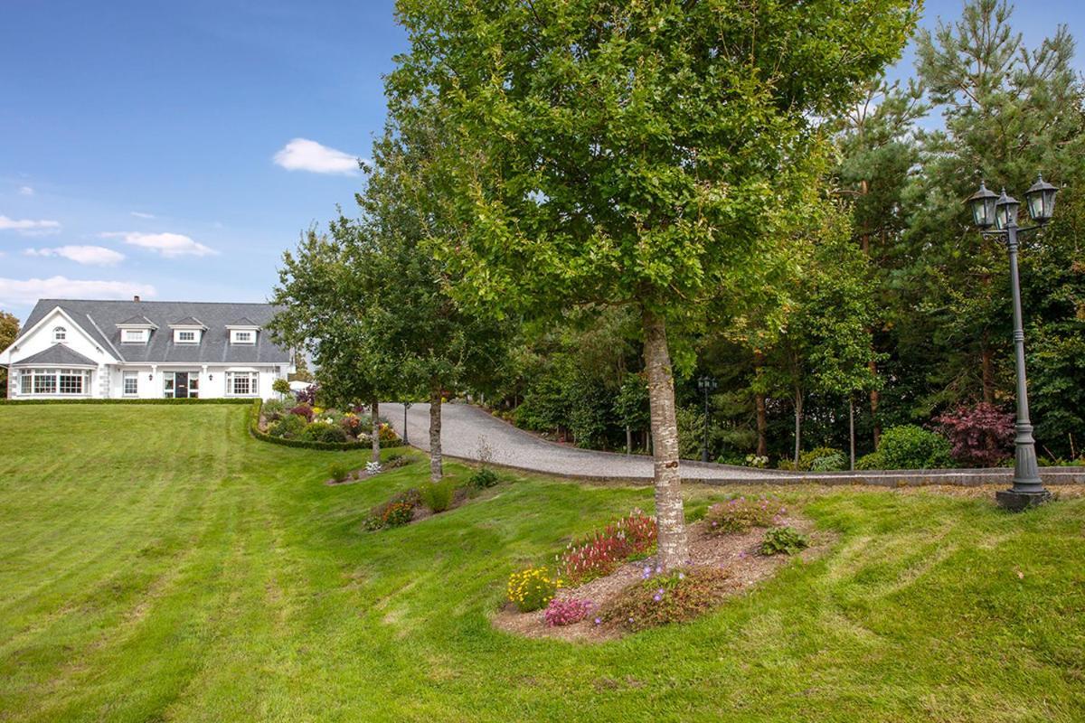 The Ridgewood Lodge Newbridge  Εξωτερικό φωτογραφία